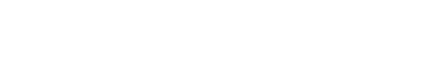 シバタ国際特許事務所